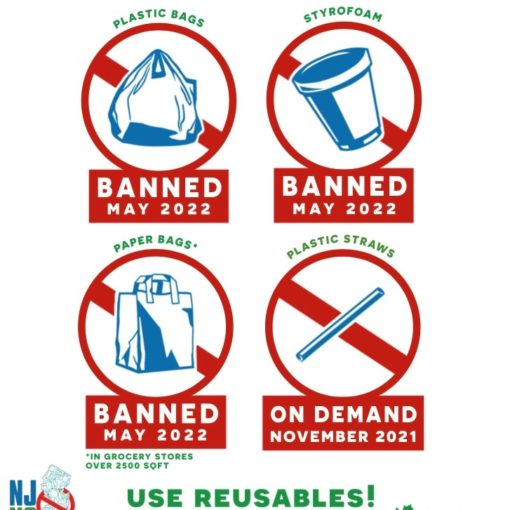 Plastic Bag Ban Infographic